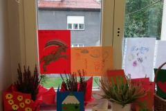 IMG-20201101-WA0013